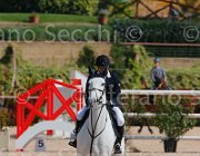 CHIAUDANI AMERICAN BLUE CampITA2013- S5 9080 : AMERICAN BLUE VAN EEKLELCHEM, CHIAUDANI NATALE, Campionati Italiani 2013, Cattolica, Horse Riviera Resort, foto di Stefano Secchi ©